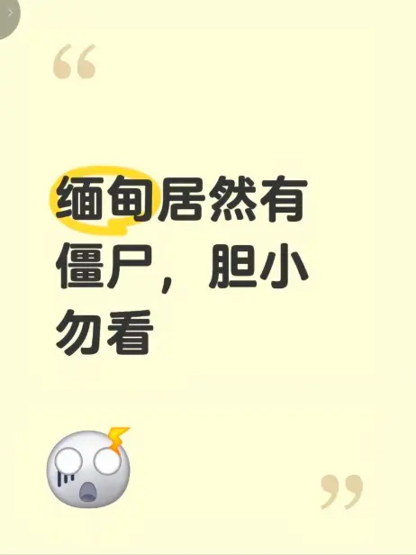 缅甸僵尸出土事件高清视频在线播放 - 缅北神秘事件真相完整版揭秘 - 缅甸僵尸出土事件无删减免费观看