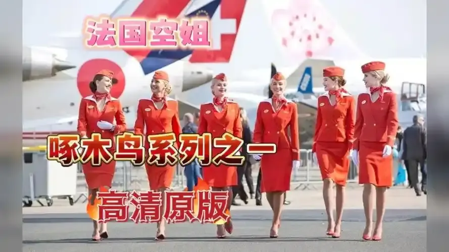 《法国空姐4》资源下载-法国空姐4免费观看完整版-超高清在线观看