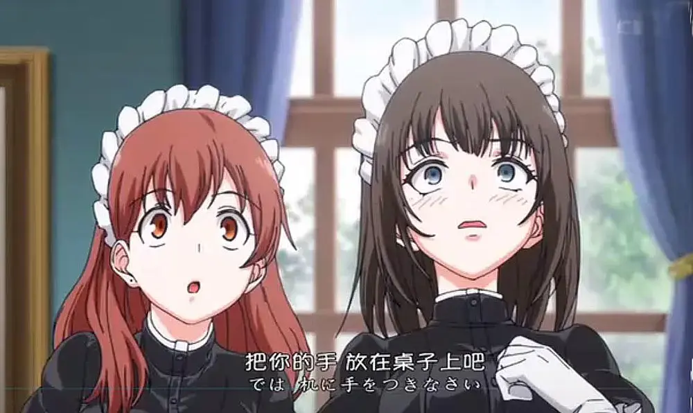 《女仆教育》无删减完整版1080P超清-风车动漫在线免费观看-《女仆教育》全集HD中字版无广告