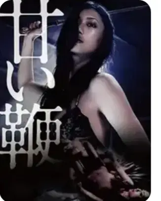 《甜蜜皮鞭》1080P高清中文字幕未删减版在线观看-《甜蜜皮鞭》电影HD完整版免费播放-剧情片满天星系列高清资源-VS影视