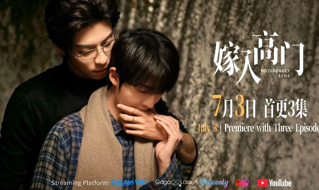 《嫁入高门的男人》全22集HD高清无广告观看-2026《嫁入高门/高嫁》双男主剧全集免费看-最新完整版资源