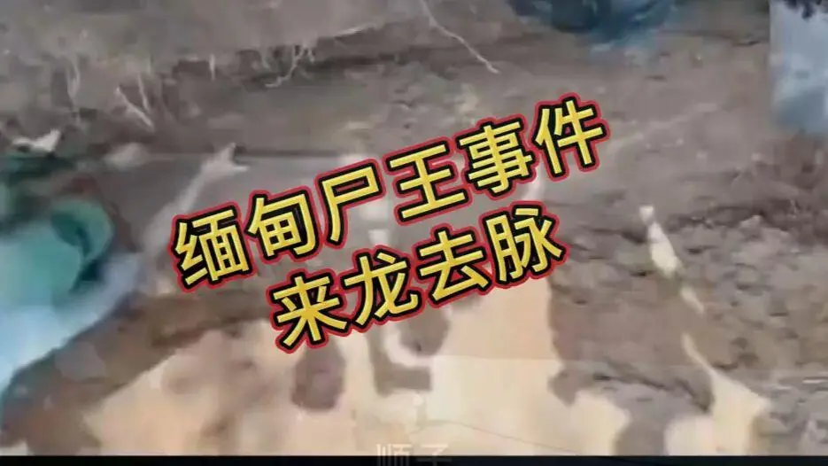 《缅甸僵尸出土事件视频》完整版资源在线观看-缅北僵尸出土事件始末原视频高清下载-全程录像免费播放